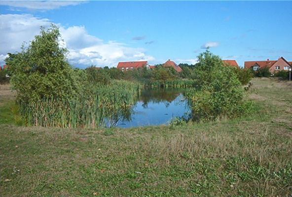 Ferienwohnungen Manfred Peters Baven Hermannsburg Zewnętrze zdjęcie